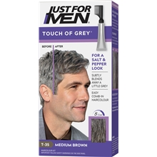 Touch Of Grey - Hair Color