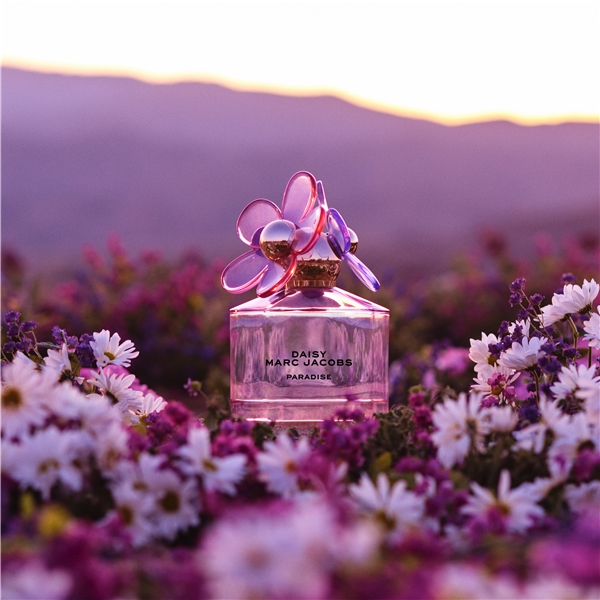 Daisy Paradise - Eau de toilette (Bilde 4 av 5)