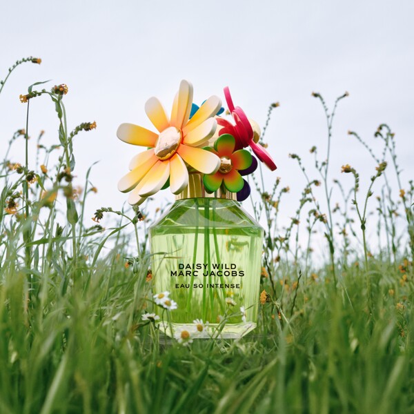 Daisy Wild Eau So Intense - Eau de parfum (Bilde 5 av 9)