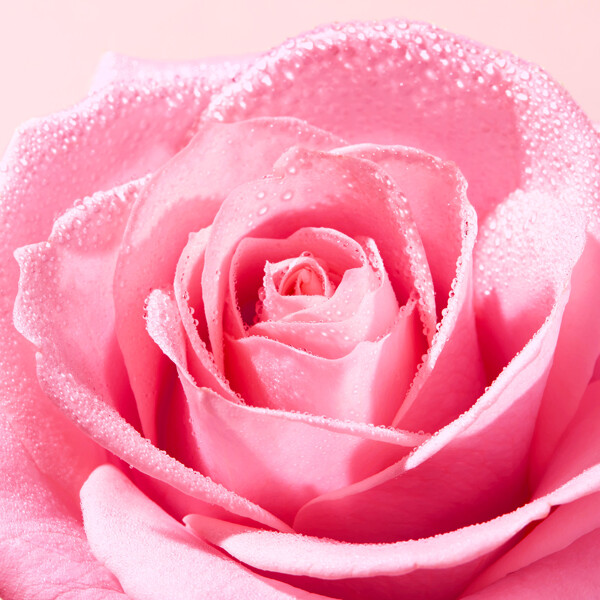Very Rose Soothing Cleansing Gel (Bilde 3 av 4)