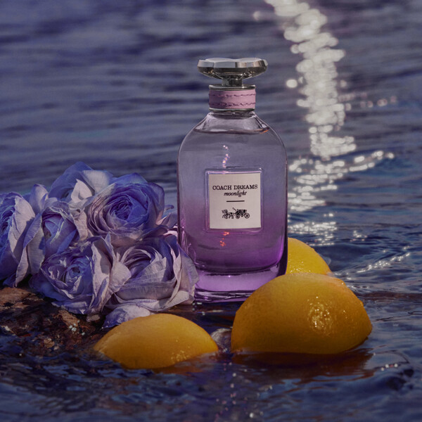 Coach Dreams Moonlight - Eau de parfum (Bilde 3 av 5)