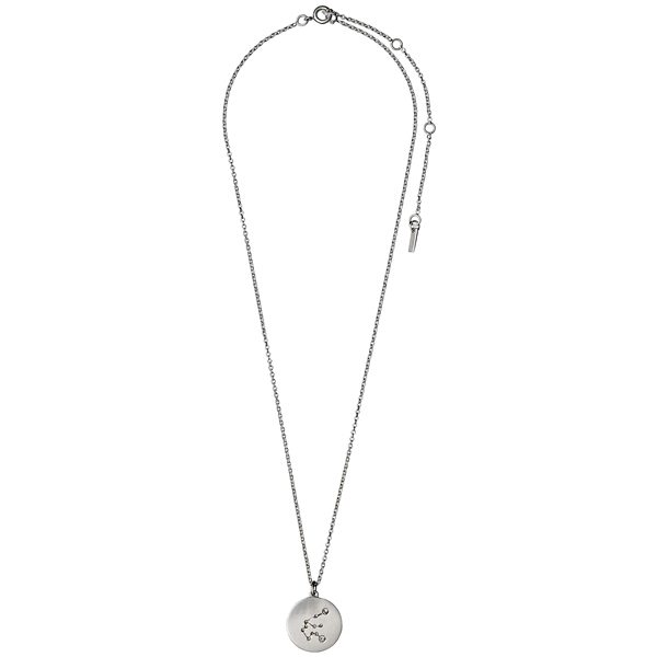 Aquarius Horoscope Necklace (Bilde 2 av 2)