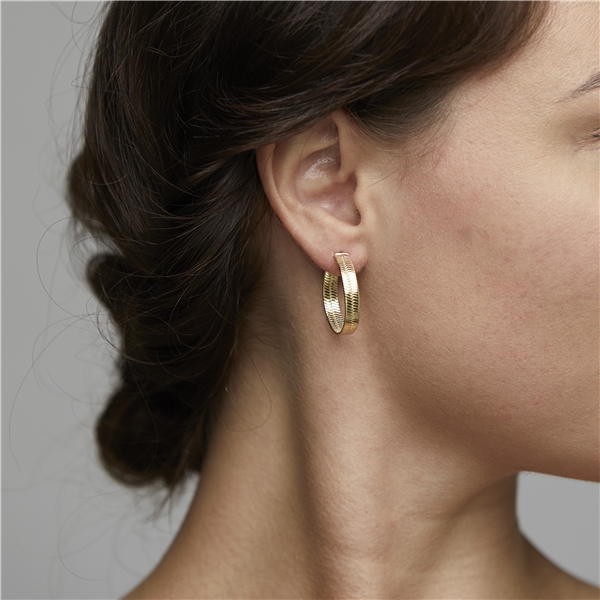 Noreen Earrings Gold Plated (Bilde 2 av 2)