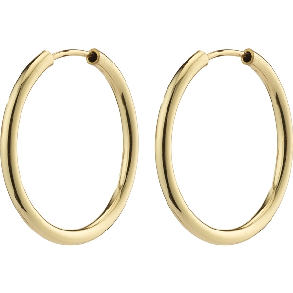 28232-2003 APRIL Gold Small Hoop Earrings (Bilde 1 av 3)