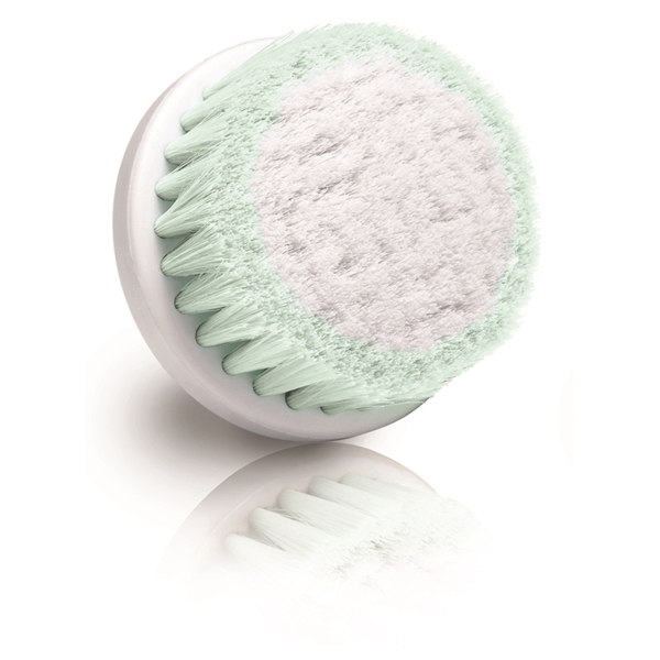 FC1000 - SP-FC1 Replacement Brush Normal