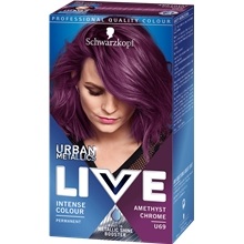 1 set - No. 069 Amethyst Chrome - Live Intense Color Urban Metallics