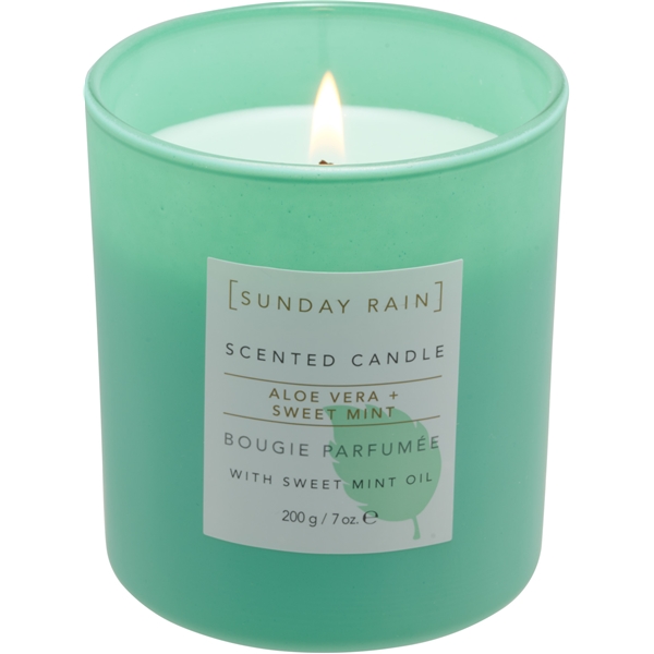 Sunday Rain Aloe & Sweet Mint Candle (Bilde 1 av 5)