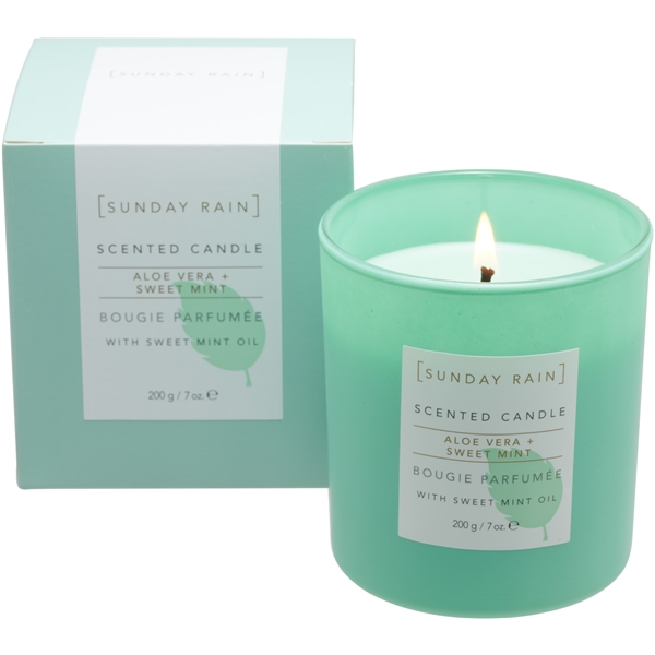 Sunday Rain Aloe & Sweet Mint Candle (Bilde 2 av 5)