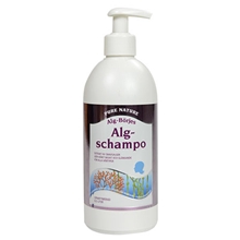 Algschampo