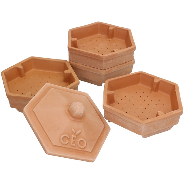 Terradisiena Sprouter Terracotta (Bilde 3 av 3)