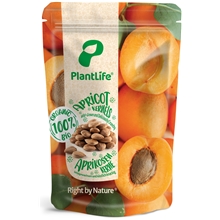 Apricot Kernels