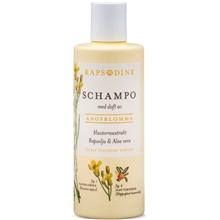 Rapsodine Schampo