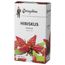 Örtagubben Hibiskus