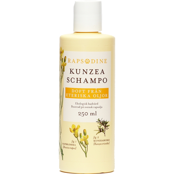 Rapsodine Kunzeaschampo