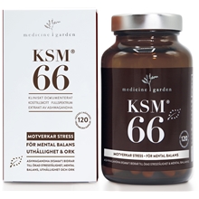 KSM66 Ashwagandha