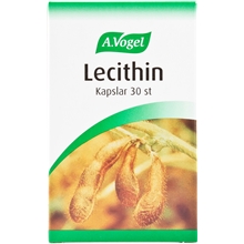 Lecithin