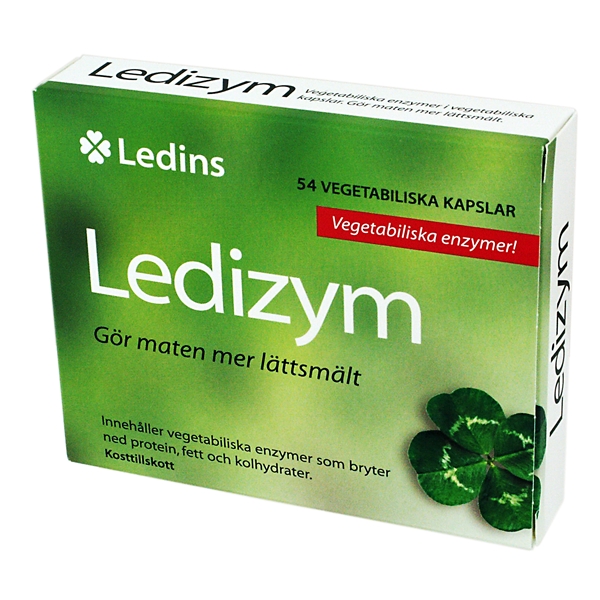 Ledins Ledizym