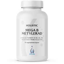 Holistic Mega B Metylerad