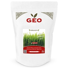 Vetegräsfrö EKO