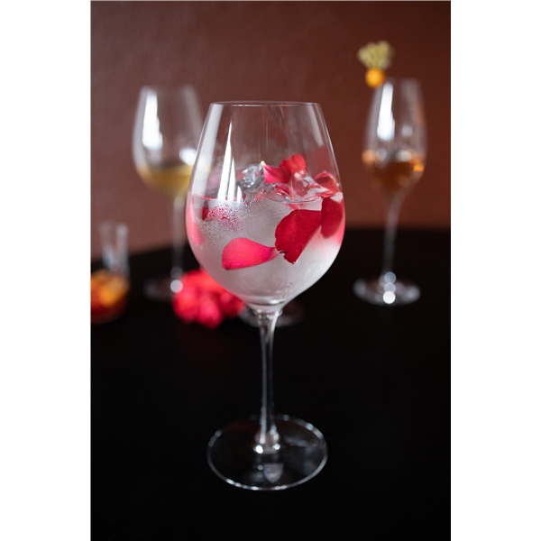 Difference Fruit Hvitvinsglass 45cl (44cl) (Bilde 3 av 5)