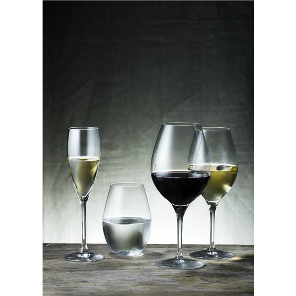 More Champagneglass 4-pack (Bilde 3 av 3)