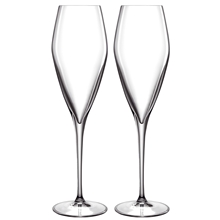 2 stk/pakke - LB Atelier champagneglass Prosecco 2-pack