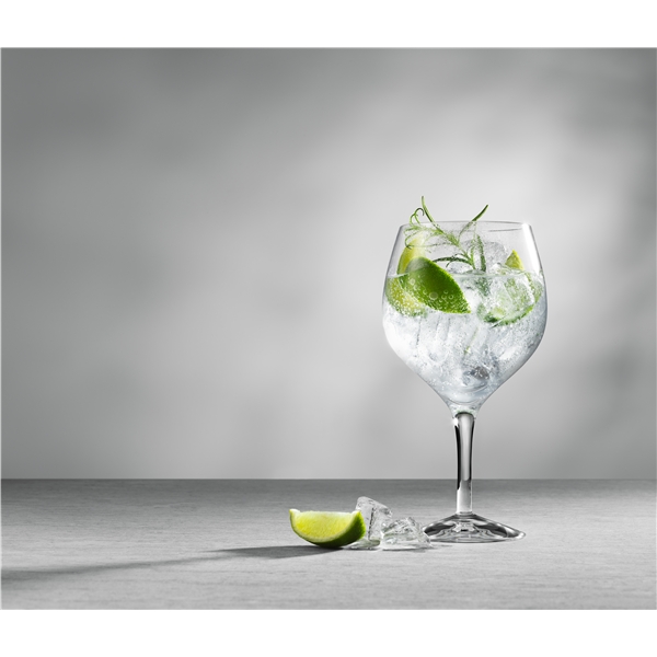 Gin and Tonic 4-pack (Bilde 2 av 7)