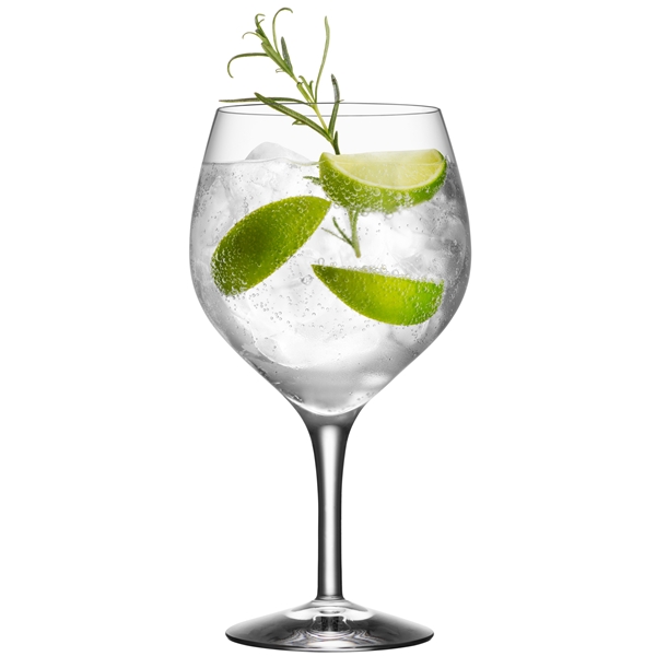 Gin and Tonic 4-pack (Bilde 3 av 7)