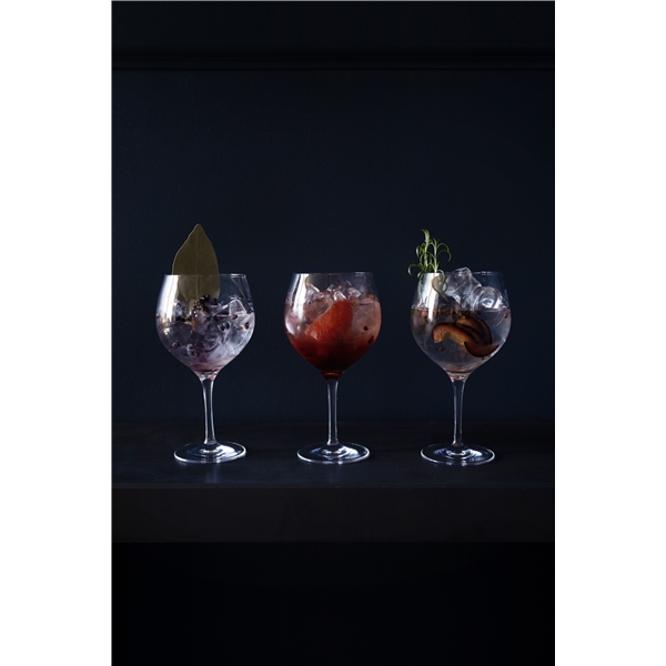 Gin and Tonic 4-pack (Bilde 6 av 7)