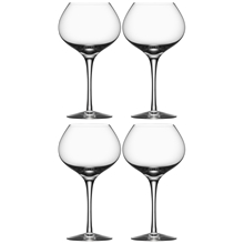More Vin Mature 4-pack