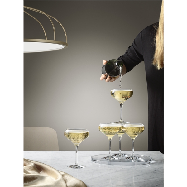 More Champagne Coupe 4-pack (Bilde 2 av 2)