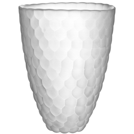 Hallon Vas frostad 20 cm Frostat