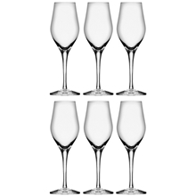 Sense Champagne/Drinkglass 6-pack