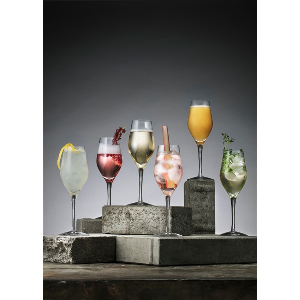 Sense Champagne/Drinkglass 6-pack (Bilde 2 av 6)