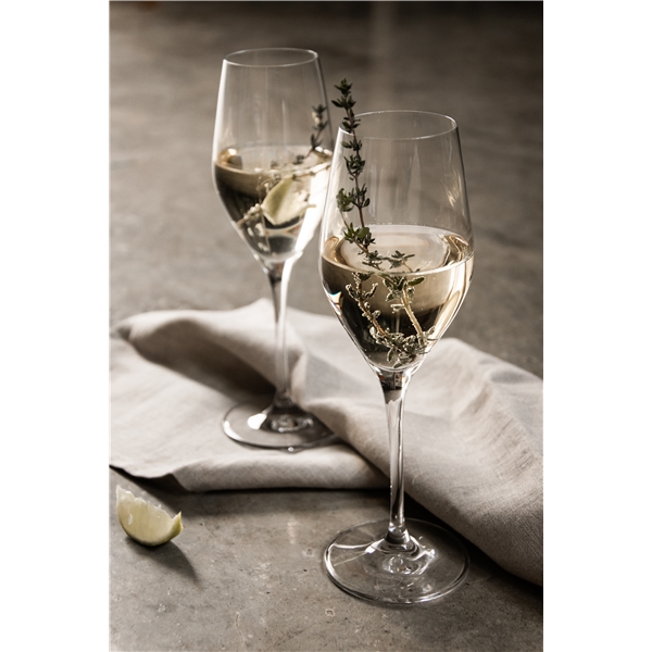 Sense Champagne/Drinkglass 6-pack (Bilde 4 av 6)