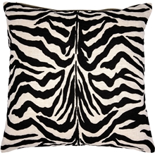 Day Zebra