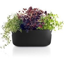 Sort - Herb Organiser Selvvanningskrukke