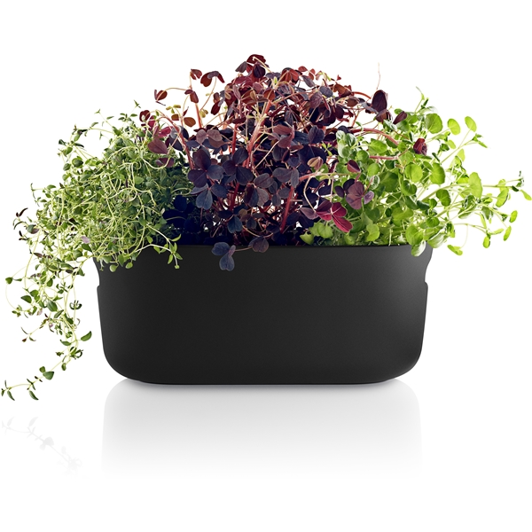 Herb Organiser Selvvanningskrukke (Bilde 1 av 5)