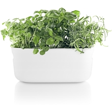 Hvit - Herb Organiser Selvvanningskrukke