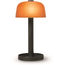Soft Spot Bordlampe