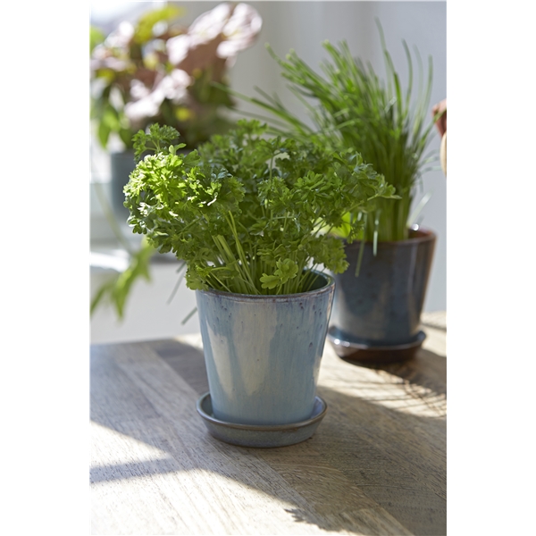 Knabstrup Dyrkepotte 11cm (Bilde 2 av 4)