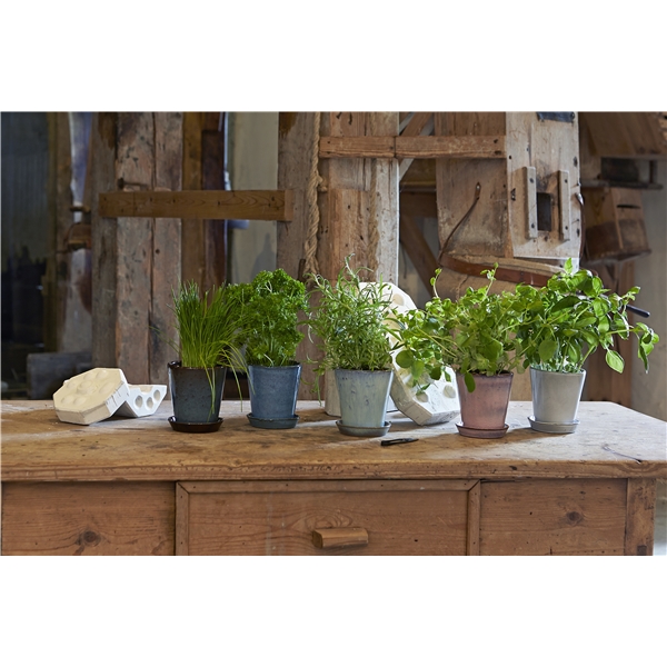 Knabstrup Dyrkepotte 11cm (Bilde 4 av 4)