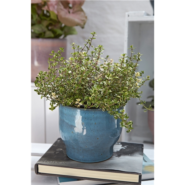 Knabstrup Blomsterpotte 16,5 cm (Bilde 2 av 4)