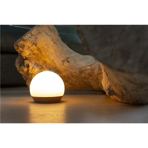 Spring Snowball Oppladbar Bordlampe (Bilde 3 av 6)