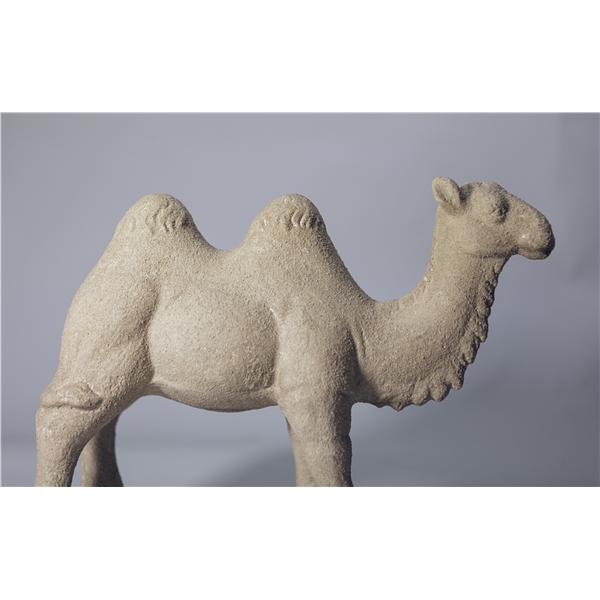 Day Camel standing (Bilde 2 av 3)
