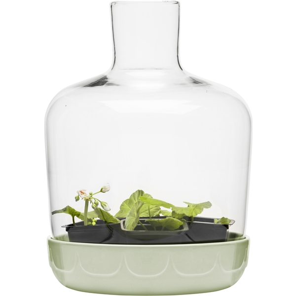Green drivhus (Bilde 2 av 4)