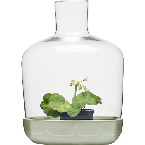 Green drivhus (Bilde 3 av 4)