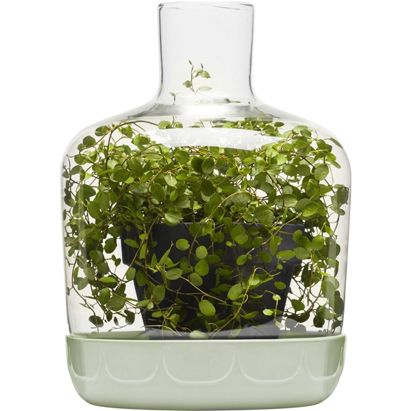 Green drivhus (Bilde 4 av 4)