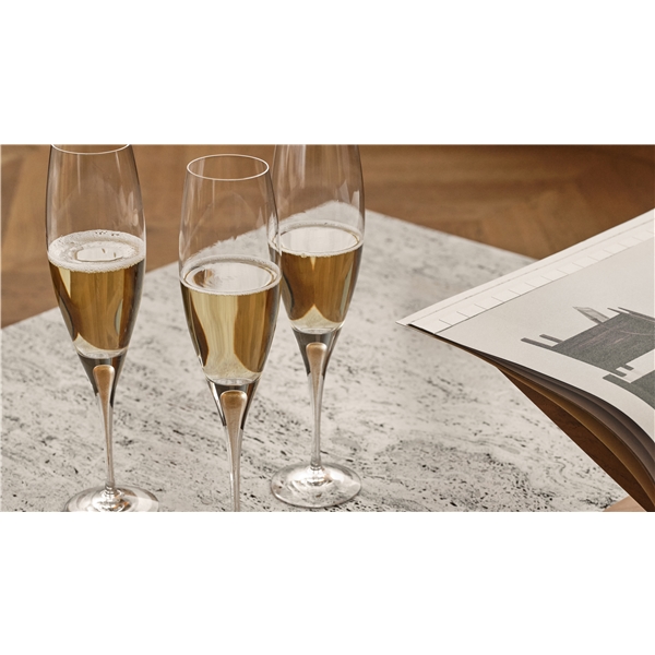 Intermezzo Champagne Gold 2-Pack (Bilde 3 av 4)