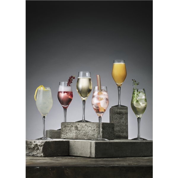 Sense Champagne/Drikkeglass 2-pak (Bilde 4 av 4)